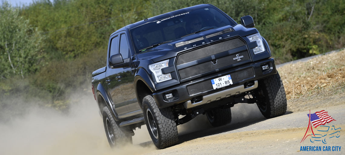 action 4x4 f150 shelby