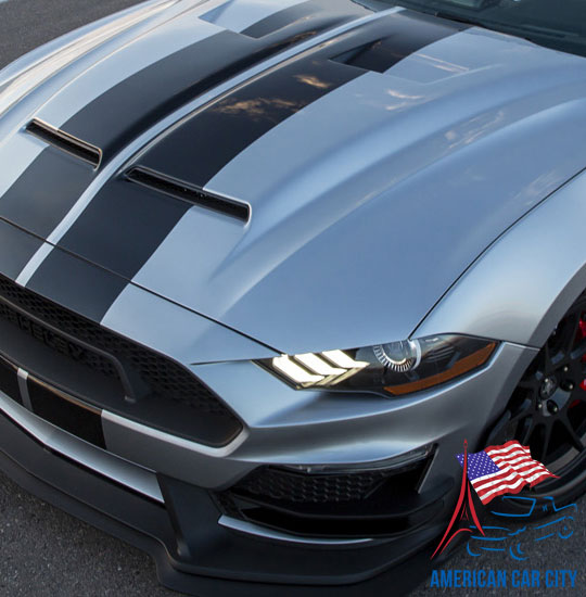 capot shelby super snake