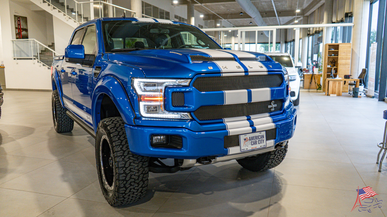 design ford shelby f150