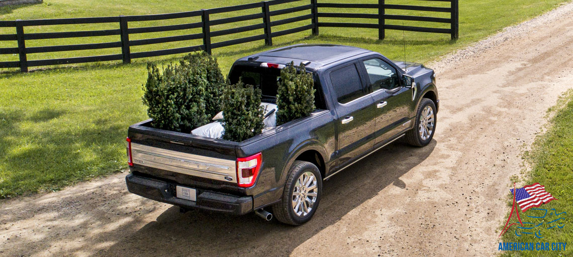 Ford F150 Platinum