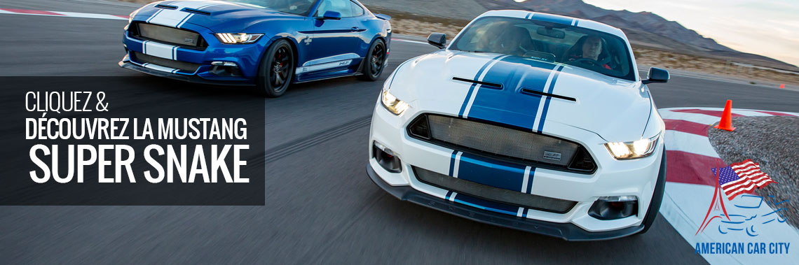 lien shelby super snake