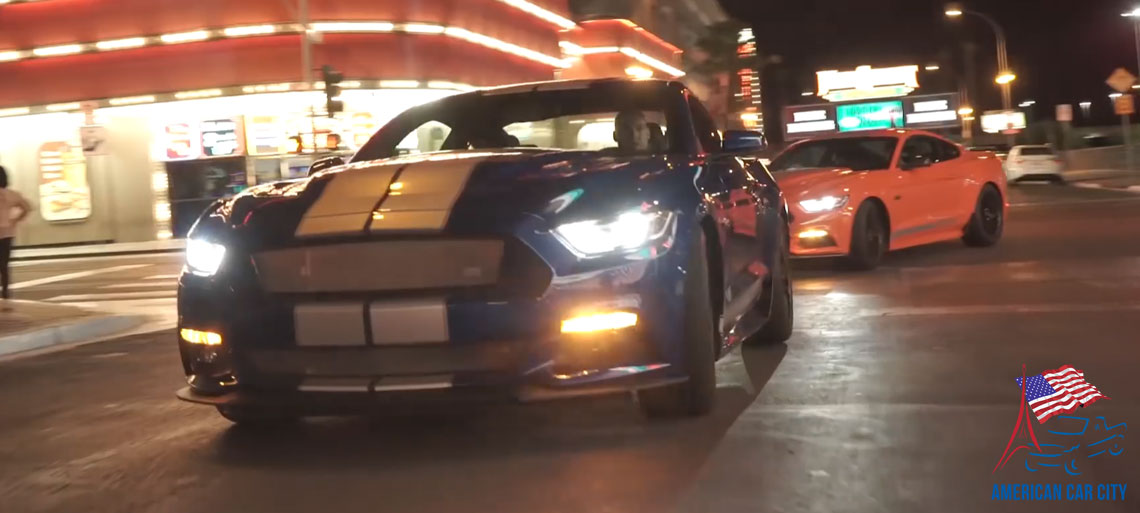 shelby gte de nuit