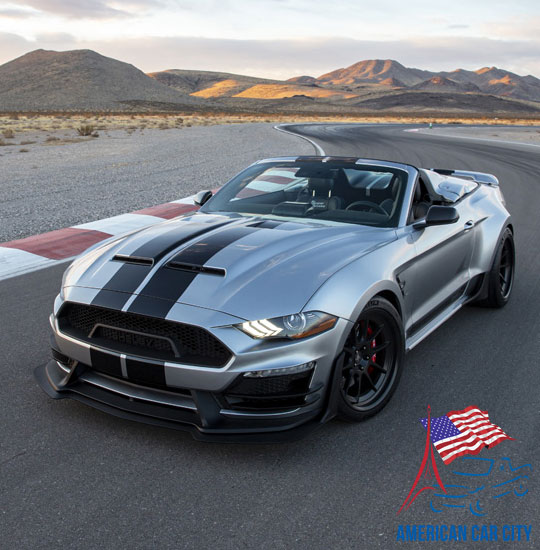 mustang super snake grise