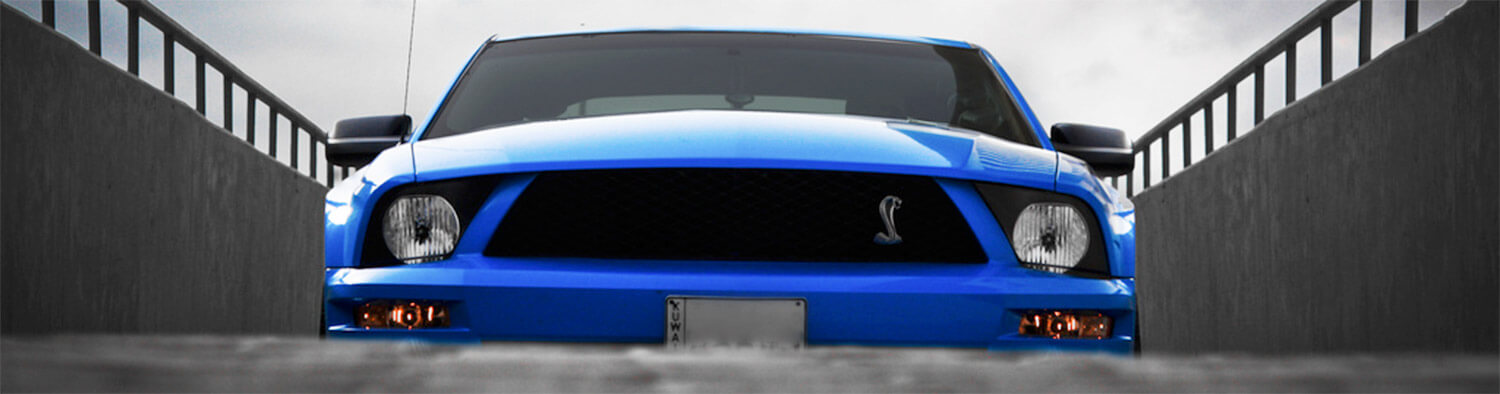 mustang shelby gt500 vue de devant