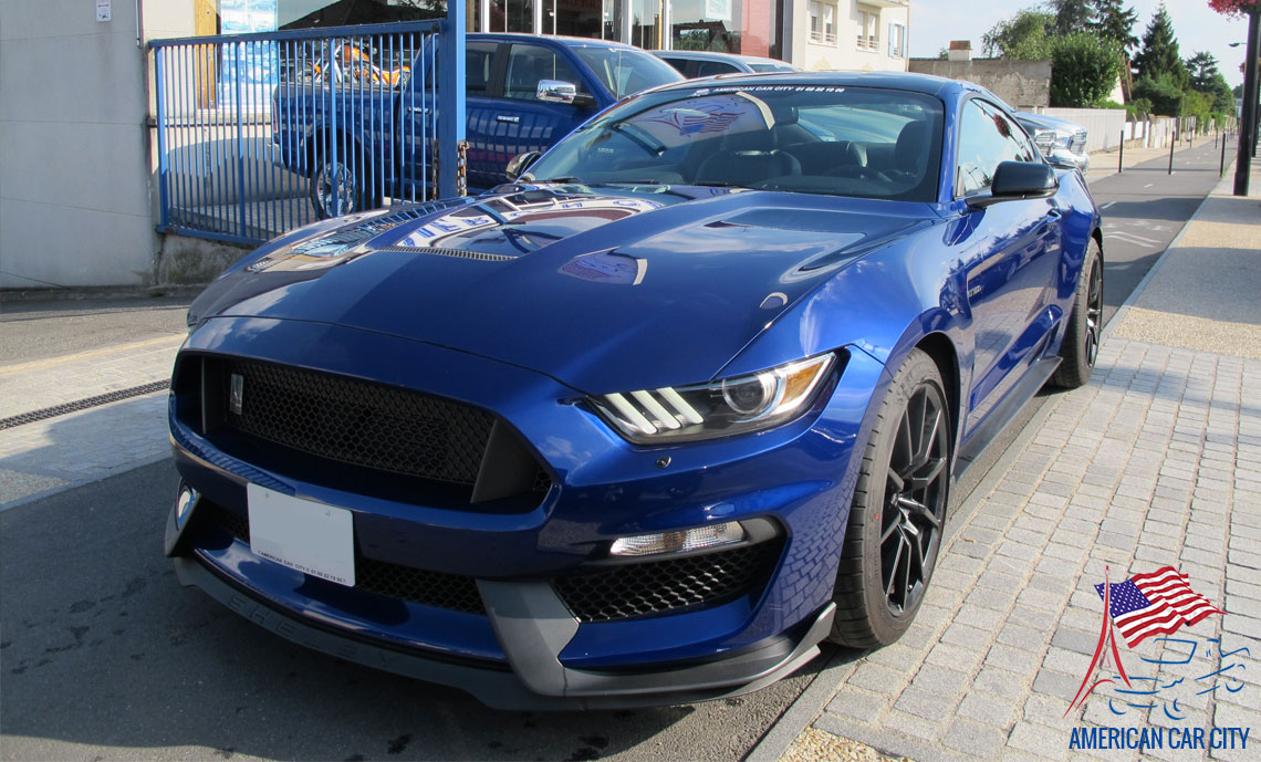 shelby gt350 2016 populaire