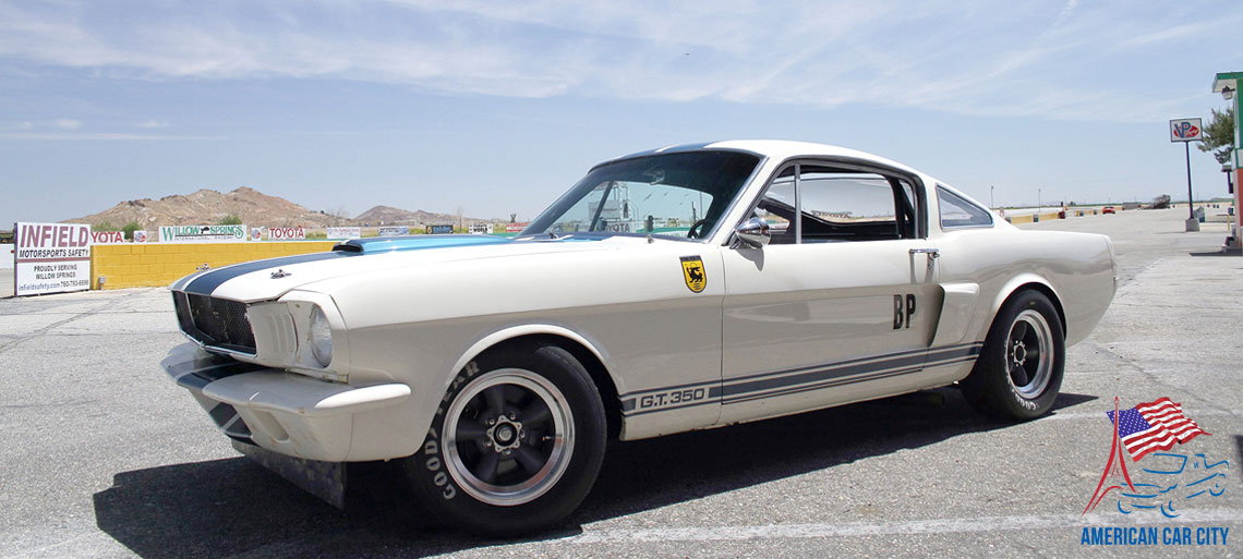profil shelby gt350r 1965 continuation