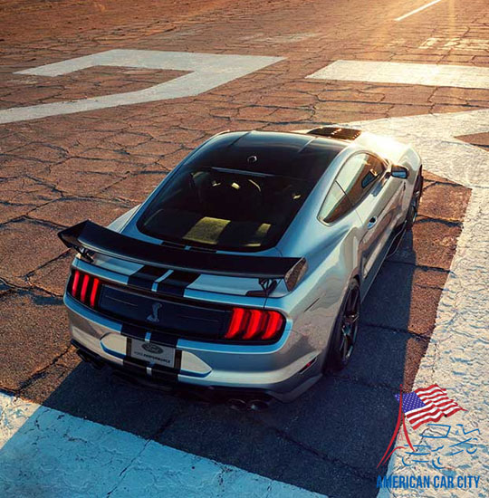 shelby gt 500 grise