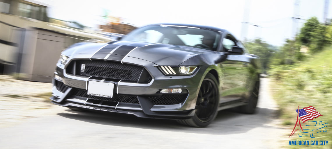 shelby mustang