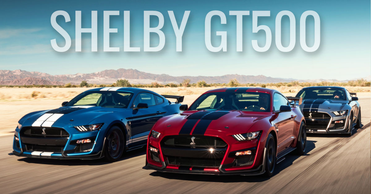 Shelby GT500 Mustang, la Mustang de légende - American Car City
