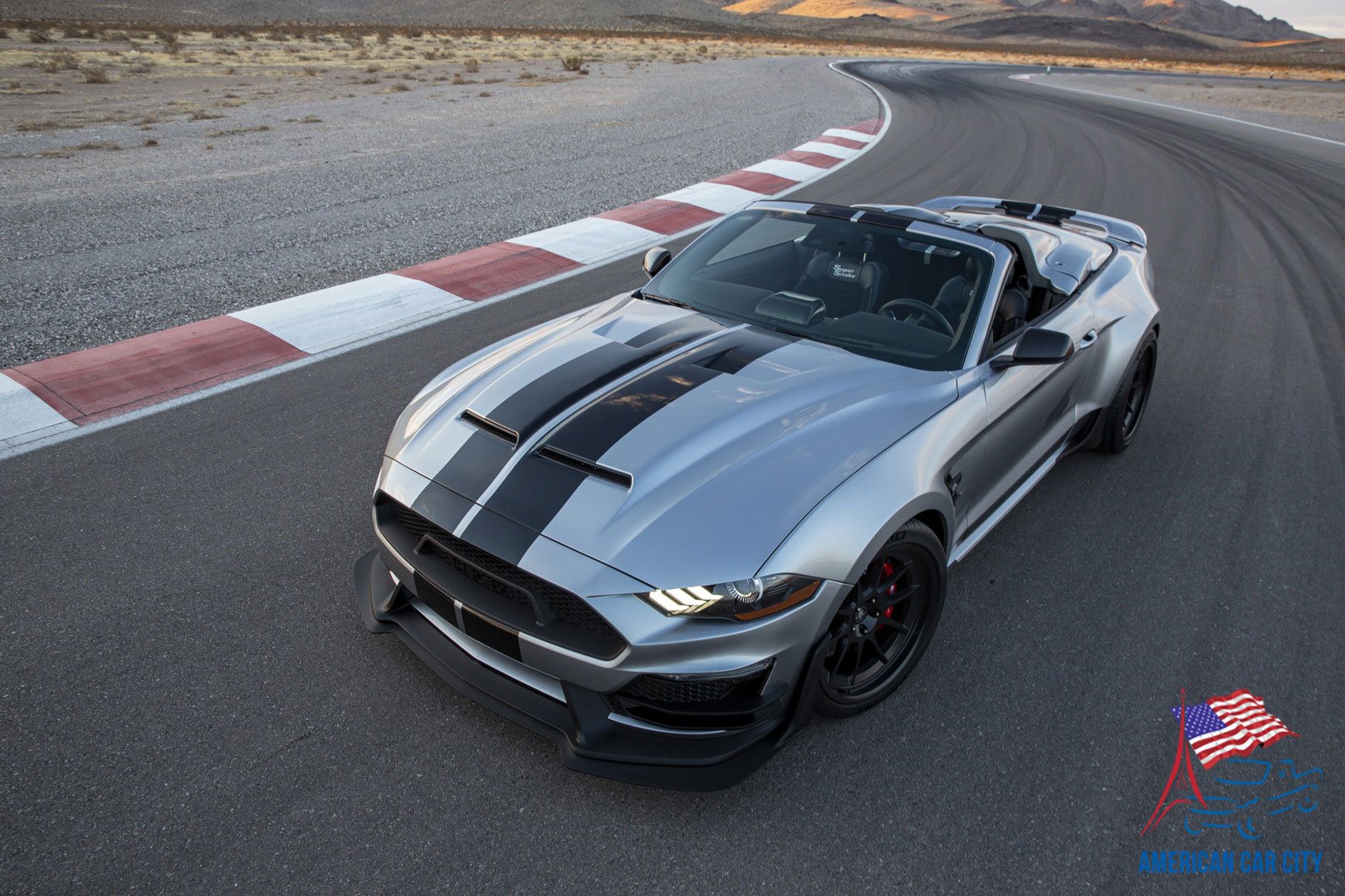 shelby super snake 2021